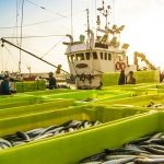 The Role Of Armed Teams In Anti-Piracy Services